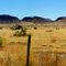 Site of Marfa lights north of town
