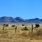 Hwy 17 north of Marfa(famous for unexplained lights)