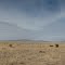 On the Outskirts of Marfa