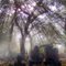 The Old Burying Ground, Beaufort, NC