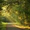 Watensaw Wildlife Area road near Old Bethal Cemetery