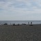 Metro Beach ( Detroit)