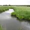 Silver Creek 2