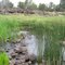 Silver Creek 3