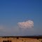 Pyrocumulus cloud, Wallow Fire June 2011