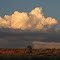 Thunderhead At Snowflake