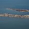 Sparrows Point