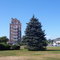 Downtown Montauk