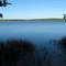 Big Reed Pond