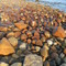 Red Rock Beach near Seal Haul Out