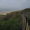 Long Island shoreline