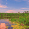 My Favorite Lake