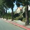 Adams Ave