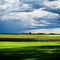 Montevideo Farmscapes - Johnson Farms