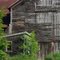 Prospect Farm