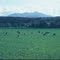 Mount Mansfield, Highest Point in Vermont