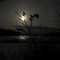 Solstice Sun