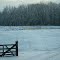 pasture in the winter time
