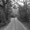 Martha's Vineyard walking trail in the late Summer