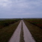 Long Point Road