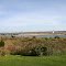 Near Homer Pond -Martha's vineyard - USA