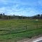 Nip N Tuck Farm