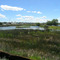 Parker Horn at Hwy 17, looking SW