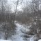 Creek across the street frozen