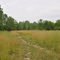 Twin Creek Nature Preserve