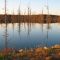 mallard lake still water