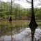 Fish Trap Chute