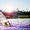 Windsurfer on Mission Bay