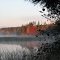 Fall Colors and Fog