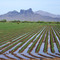 Irrigation