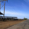 Cattle pens