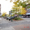 Cortland
