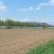 Campagne près de Homer