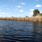 Water Level after TS Fay in 08 is reflected on the grass