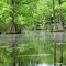 Trussum Pond Paddling