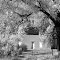 Adobe, Questa, NM