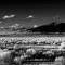 Ute Mountain