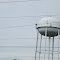 Water tower.