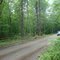 2008 STPR