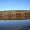 Fall
