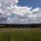 Otsego County in the Summer