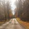 The Backroads of Otsego County