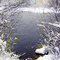 Pond above Oneonta
