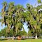 Lake Apopka Loop Trail, Lake County, Florida