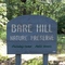 Bare Hill