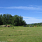 Ellenville Flight Park